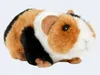 Plüschtier Meerschweinchen 15 cm, Stofftier Kuscheltier Produktbild-Vorschau 7