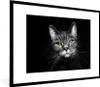MuchoWow® Gerahmtes Poster Haustiere - Katze - Tiere - Produktbild-Vorschau 1