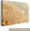 MuchoWow® - Leinwandbilder - Löwenzahn - Wasser - Natur - Produktbild-Vorschau 1