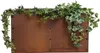 Hochbeet Pflanzbeet Edelrost 80x80x40 cm Pflanzkasten Produktbild-Vorschau 8