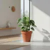XXL Pflanzkübel terracotta Ø48 cm - Kunststoff Blumen Kübel Produktbild-Vorschau 7