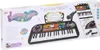 Clavier orgue piano avec microphone pour enfants Voir les images du produit 16