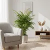 Bloomique - Chamaedorea Elegans - Palmier d'intérieur - Voir les images du produit 4