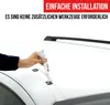 TURTLE DACHRELİNG CROWN OPEL COMBO LIFE 2019 2020 2021 2022 Produktbild-Vorschau 2