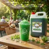 Syrop Rainbow Slush 5L AZO FREE | Waldmeister | Koncentrat Podgląd zdjęcia produktu 5