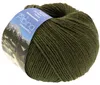 Lana Grossa - Alpina Landhauswolle 0064 dunkeloliv Produktbild-Vorschau 1
