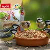 PANTO Erdnussbruch halbe und ganze mit Haut 5 x 1kg - Produktbild-Vorschau 3