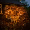 esotec Solar Lichterkette, 60 bernsteinfarbene LEDs, 6 Produktbild-Vorschau 1