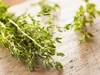 Nasiona ziół Tymianek właściwy zioła do ogrodu - Toraf 316 Podgląd zdjęcia produktu 10