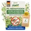Green Guardia Nematoden gegen Nacktschnecken – 10 Mio. für Produktbild-Vorschau 1