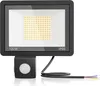 LARS360 Außenstrahler 100W Warmweiß mit Bewegungssensor - Produktbild-Vorschau 1