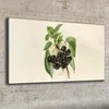 Coloray Bild aus Leinwand 100x50 Leinwand Dekoration - Produktbild-Vorschau 2