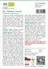 SAFLAX - BIO - Rajčatová - Romská - Solanum lycopersicum - Náhled obrázku produktu 3