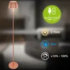 LED staande lamp, draadloos, LED staande lamp, vloerlamp, Productafbeelding-voorbeeld 3