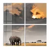 DEQORI Glasbild Echtglas 4x50x50 cm 'Savannen Dämmerung' Produktbild-Vorschau 2