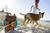 Waboba Woof Pack Hundespielzeug Set Wurfscheibe Sprungball Produktbild-Vorschau 7