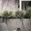 360Home Simulation künstliche Pflanze Innenraum Dekoration Produktbild-Vorschau 2