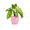 LECHUZA-Tischgefäß CLASSICO Color 14 DECO Magnolie | matte Produktbild-Vorschau 2