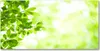 Tulup® Glas-Bild - 100x50 -Wandkunst - Wandbild hinter Produktbild-Vorschau 1