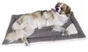 Kerbl Liegekissen Cleo (Farbe Grau/Weiß, L x B x H 36 x 22 Voir les images du produit 4