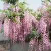 Blauregen ´ROSEA´ 50-60 cm, Cont. 1,6 l, Pflanze mit Produktbild-Vorschau 7