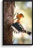 MuchoWow® MuchoWow® Gerahmtes Poster Vogel - Baum - Wald Produktbild-Vorschau 1