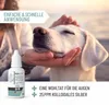 REAVET: Gotas oftálmicas especiales para perros y gatos, 20 Vista previa de la imagen del producto 5