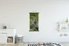 MuchoWow® Textilposter Baumkatze auf Stein 60x120 cm mit Produktbild-Vorschau 2