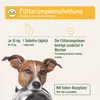 AniForte plus Probiotikum Tabs für Hunde 90 Stk - Produktbild-Vorschau 5