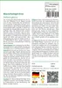 SAFLAX - Blauschwingel-Gras - Festuca glauca - 50 Samen Produktbild-Vorschau 3