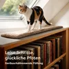 Katzen Fensterliege Fensterbank rutschfest - Selbstwärmende Produktbild-Vorschau 6