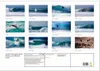 SURF PASSION 2025 Photos von Marion Koell (Wandkalender Produktbild-Vorschau 2