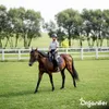 Weidegras Paddock Pferde 15 kg = 1.666 m² Gras für Koppeln Produktbild-Vorschau 9