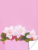 MuchoWow® Poster Blüte - Sommer - Rosa 120x160 cm - Produktbild-Vorschau 1