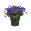 elho green basics Anzuchttopf 35cm - lebhaft schwarz Produktbild-Vorschau 13