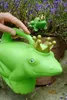 Kinder-Gießkanne-Froschkönig Produktbild-Vorschau