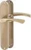 A pair of bronze door handles with backplates, presented against a white background. Produktbild-Vorschau