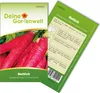 Rettich Ostergruß rosa 2 Samen - Raphanus sativus - Produktbild-Vorschau 2
