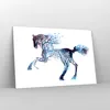 Bilder auf glas - natur malen schön Hengst - 120x80cm - Produktbild-Vorschau 4