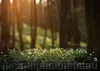 Wald - Erholung für Mensch und Tier - 2027 - Kalender DIN Produktbild-Vorschau 8
