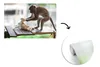 MuchoWow® Fototapete für Wohnzimmer oder Schlafzimmer Produktbild-Vorschau 3