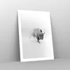 Poster - Poster ohne Rahmen - Wisent Schwarzweiß Licht - Produktbild-Vorschau 7