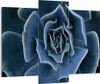 Bild auf Leinwand - Leinwandbild - 3 Teile - Blau Kaktus Produktbild-Vorschau 1