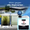 Teicher Algenvernichter – Gegen Schwebe- & Blaualgen im Produktbild-Vorschau 2