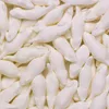 Haribo Weisse Mäuse 3 kg Produktbild-Vorschau 2