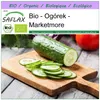 SAFLAX - Bio - Ogórek - Marketmore - 20 Nasiona - Cucumis Podgląd zdjęcia produktu 10