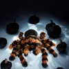 Ragno Tarantola Gigante XXL - Regalo di Halloween per Anteprima dell’immagine prodotto 10