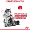 ROYAL CANIN Hair&Skin Care - trockenfutter für Katzen - 4kg Produktbild-Vorschau 11