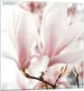 Bilder auf glas - Einteilig - Zweig Magnolie Blume - Produktbild-Vorschau 1