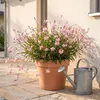 Stauden Gänge 3 x Gaura lindheimeri 'Siskiyou Pink' - Rosa Produktbild-Vorschau 3